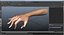 3D hands rigged female