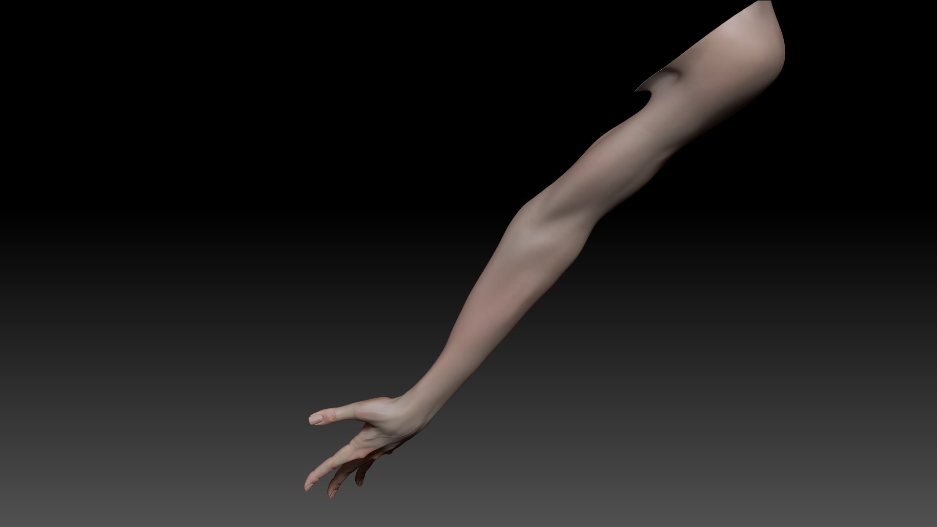 Female Pro Arm Sculpt Project 3D Model - TurboSquid 2052469