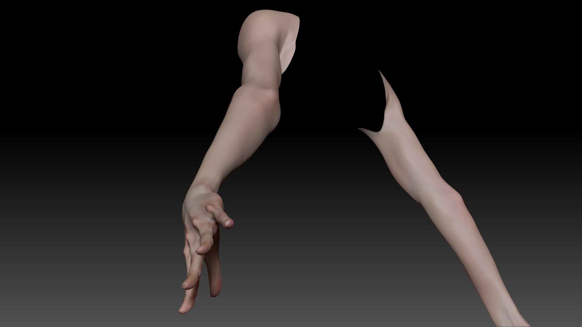 Female Pro Arm Sculpt Project 3D Model - TurboSquid 2052469
