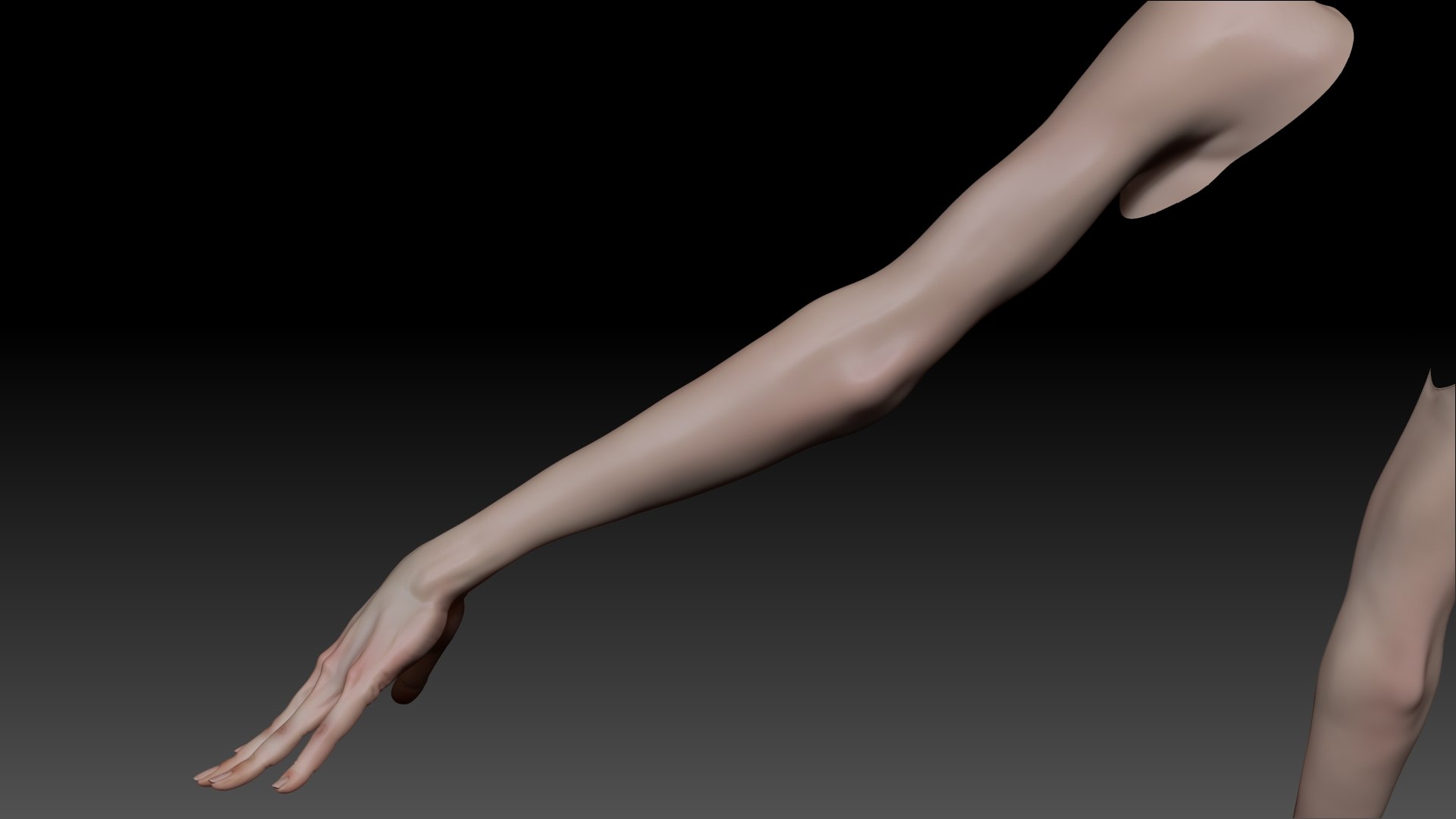 Female Pro Arm Sculpt Project 3D Model - TurboSquid 2052469