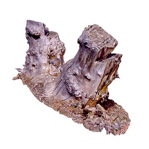 3D Tree Stump 03 model