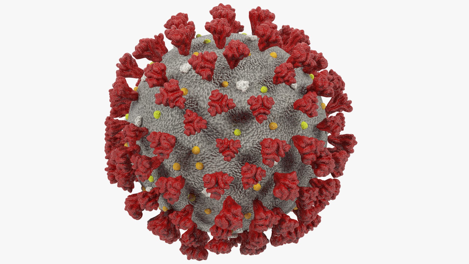 3D medical stuff coronavirus https://p.turbosquid.com/ts-thumb/VD/Fy9aUS/A4meWTe0/004_003copy/png/1590219731/1920x1080/fit_q87/d7787b071edbd6486a4bf74d26bfdadcb697690a/004_003copy.jpg