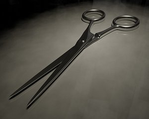 3ds scissors blade