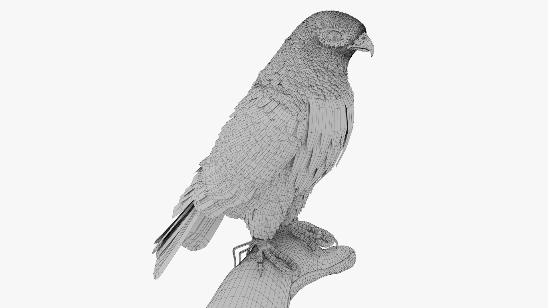 3D model arab man with falcon https://p.turbosquid.com/ts-thumb/VD/O7vNAz/lF/17/jpg/1758183069/1920x1080/fit_q87/27aa1a90fb3cd392dad0e597c27bcdce7ba0832b/17.jpg