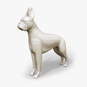 boxer dog 3D model