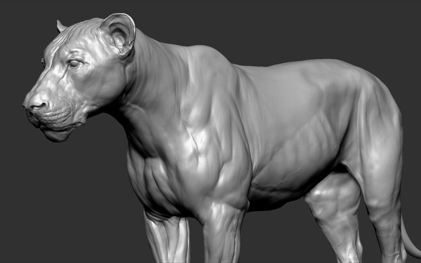 3D model lion cat big - TurboSquid 1466543