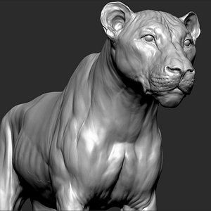 3D model lion cat big