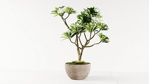 Plant pot 3D model