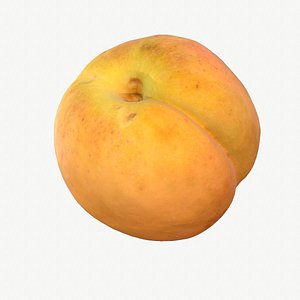 3D model 03 hy apricot fruit