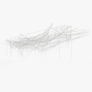 Spider Web 3D model