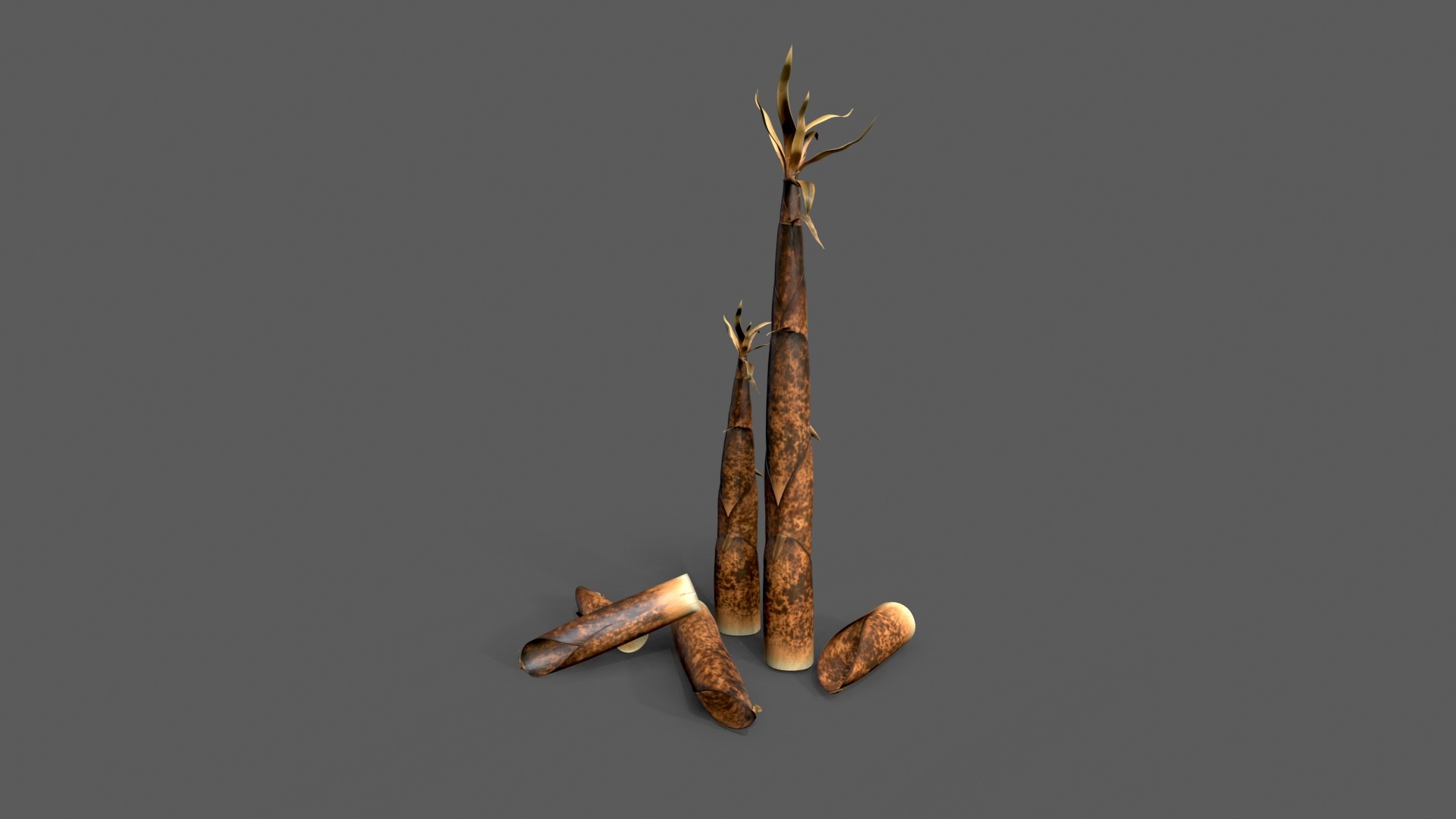 3D Bamboo shoots young sprouted small bamboo https://p.turbosquid.com/ts-thumb/VD/mMoRiv/55/untitled_003/jpg/1739170252/1920x1080/fit_q87/6578a0ddfe6053725047a04f4d29b5d64c26b3c3/untitled_003.jpg
