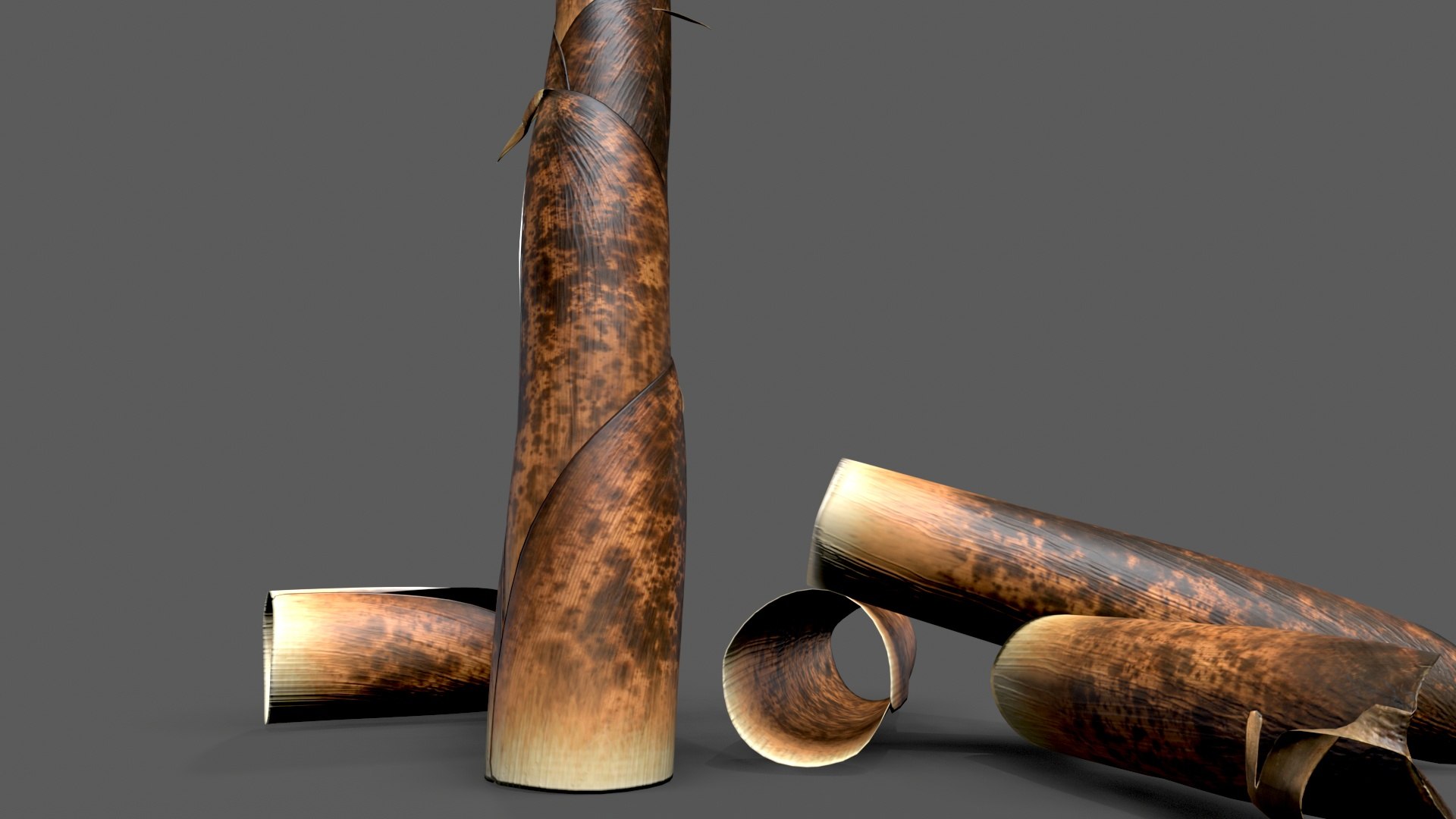 3D Bamboo shoots young sprouted small bamboo https://p.turbosquid.com/ts-thumb/VD/mMoRiv/6Y/untitled_006/jpg/1739170253/1920x1080/fit_q87/77d001aa5985a284ee0a307dabe196addc2f6e90/untitled_006.jpg