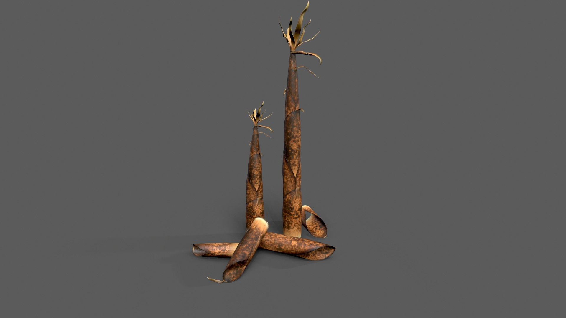 3D Bamboo shoots young sprouted small bamboo https://p.turbosquid.com/ts-thumb/VD/mMoRiv/GO/untitled_002/jpg/1739170252/1920x1080/fit_q87/df79847f98960f5ccc8864c45ea3c9935713e910/untitled_002.jpg