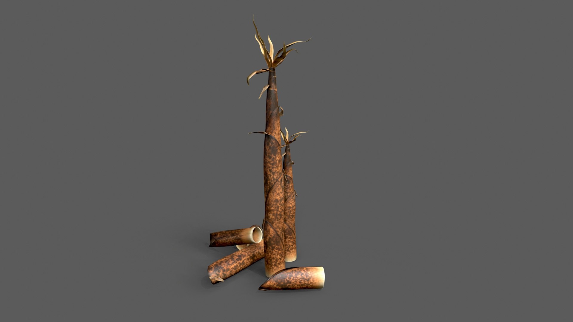3D Bamboo shoots young sprouted small bamboo https://p.turbosquid.com/ts-thumb/VD/mMoRiv/fE/untitled_004/jpg/1739170252/1920x1080/fit_q87/2cec832983de63880db99dff83122f8a8e7a8910/untitled_004.jpg