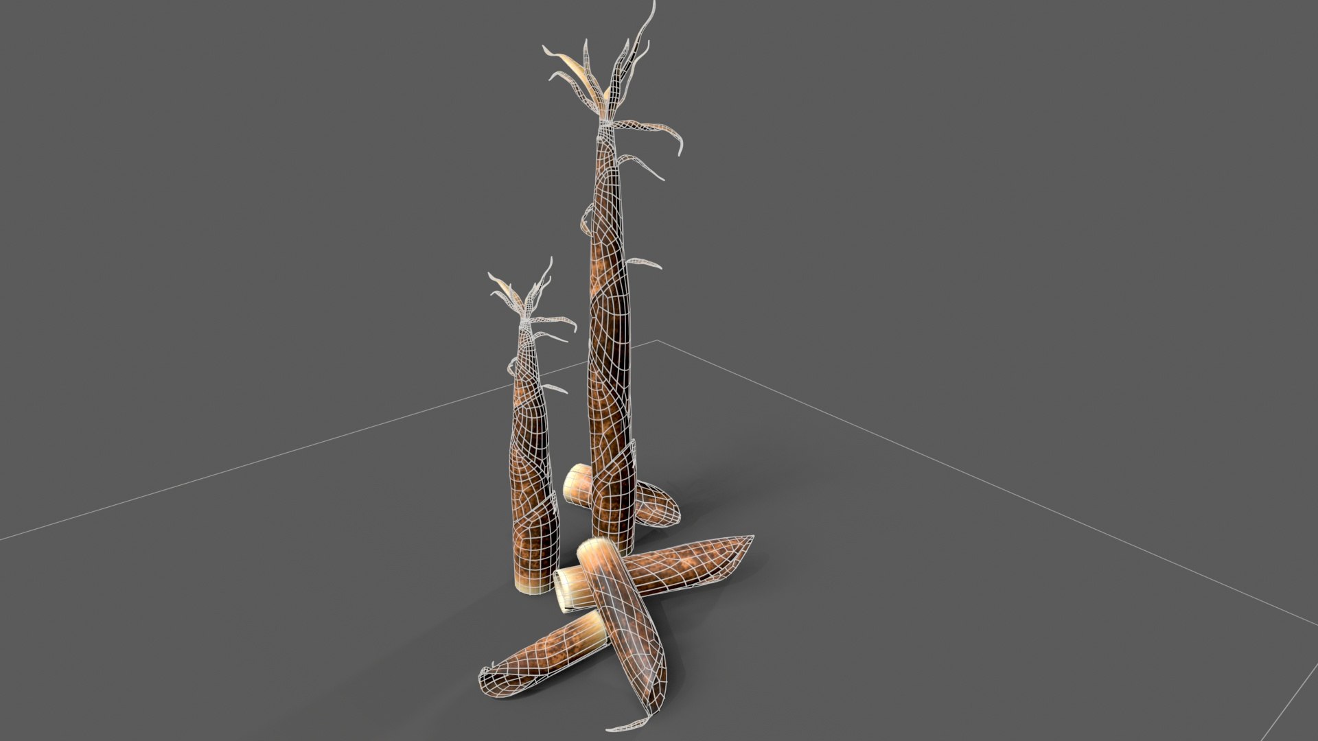 3D Bamboo shoots young sprouted small bamboo https://p.turbosquid.com/ts-thumb/VD/mMoRiv/l2/untitled_007/jpg/1739170254/1920x1080/fit_q87/13951acd951400d9dabdbc3eb720e6e47744f226/untitled_007.jpg