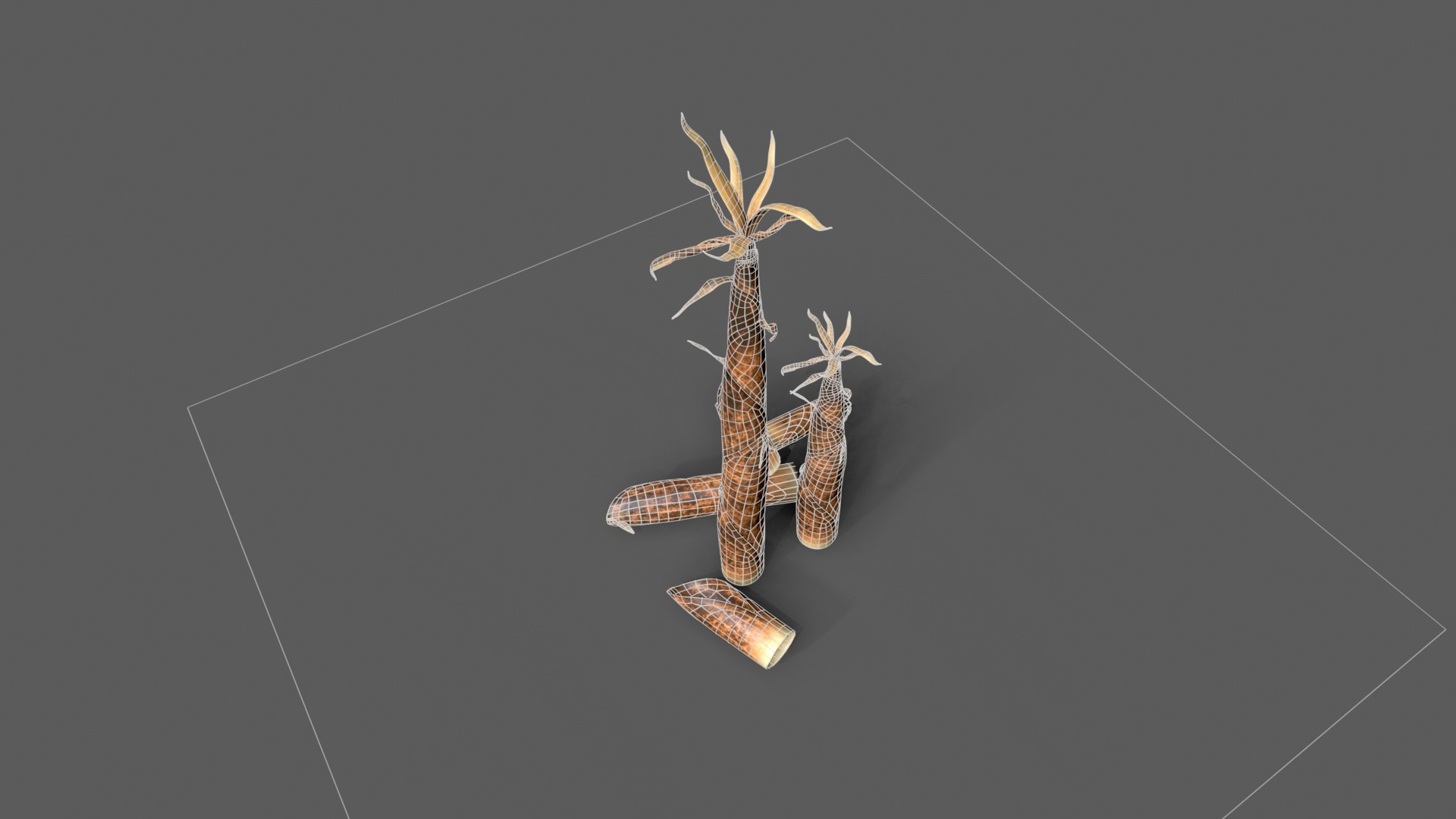 3D Bamboo shoots young sprouted small bamboo https://p.turbosquid.com/ts-thumb/VD/mMoRiv/pI/untitled_008/jpg/1739170255/1920x1080/fit_q87/bd8e80dc1623af1357763d9ce8353ccd7eb3b9e6/untitled_008.jpg
