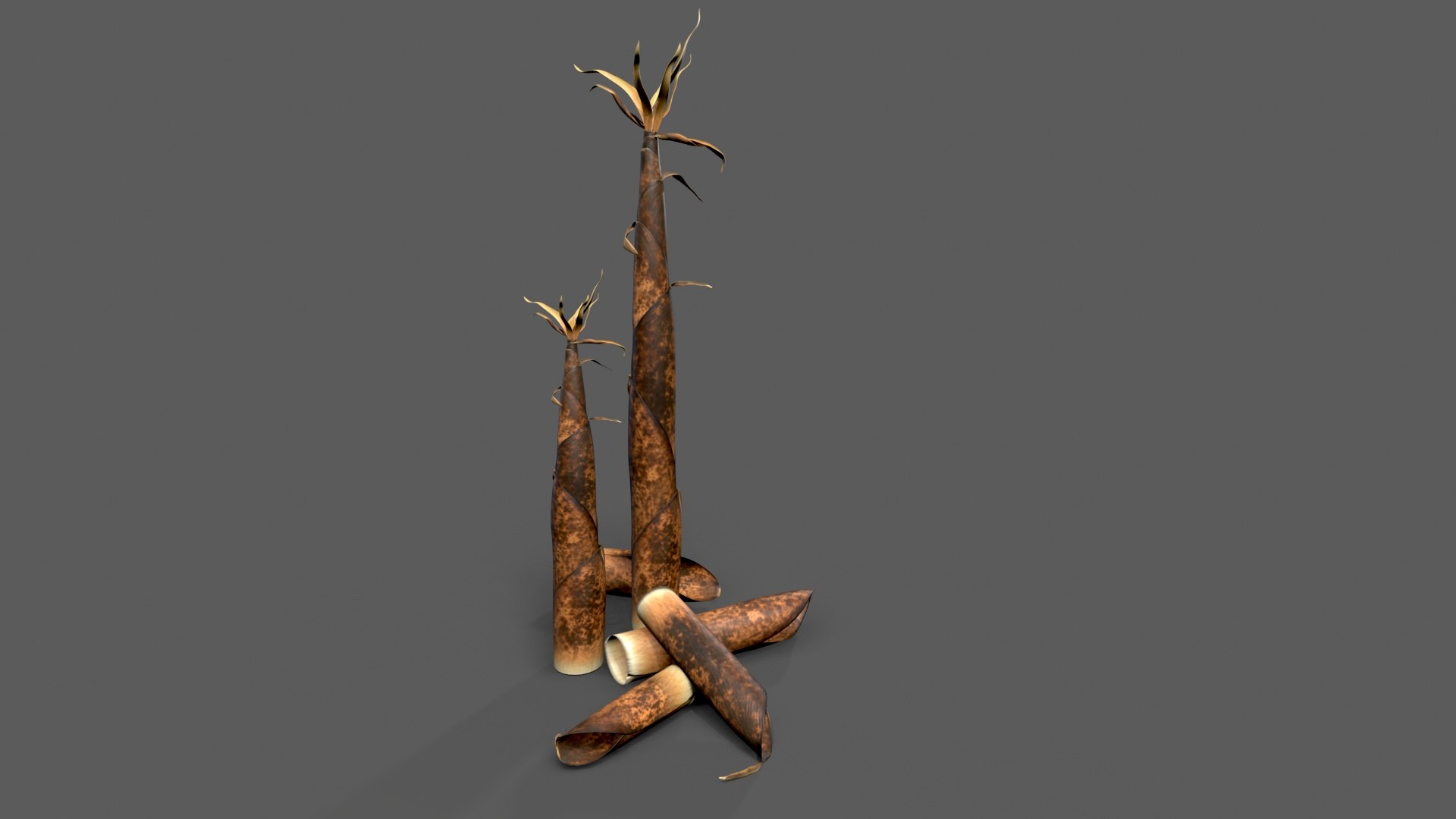 3D Bamboo shoots young sprouted small bamboo https://p.turbosquid.com/ts-thumb/VD/mMoRiv/u0/untitled_001/jpg/1739170251/1920x1080/fit_q87/72c9febc24334c49384ddaa0e7258c63f893c36c/untitled_001.jpg