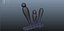 Exospores