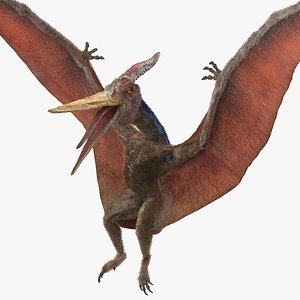 Pteranodon Landing Pose with Fur 3D Model