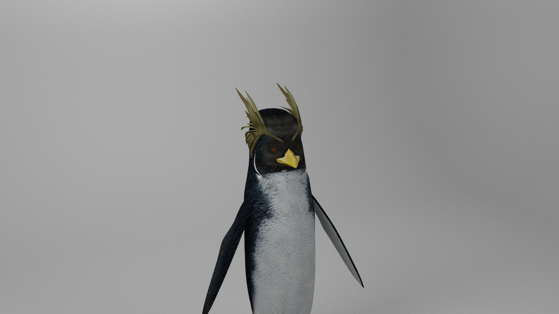 cody maverick penguin animation 3D model https://p.turbosquid.com/ts-thumb/VE/0spC13/J8/crestedpenguinrender9/jpg/1617995274/1920x1080/fit_q87/f4ea909973514b0e2aca5e6edd58686d36d00963/crestedpenguinrender9.jpg