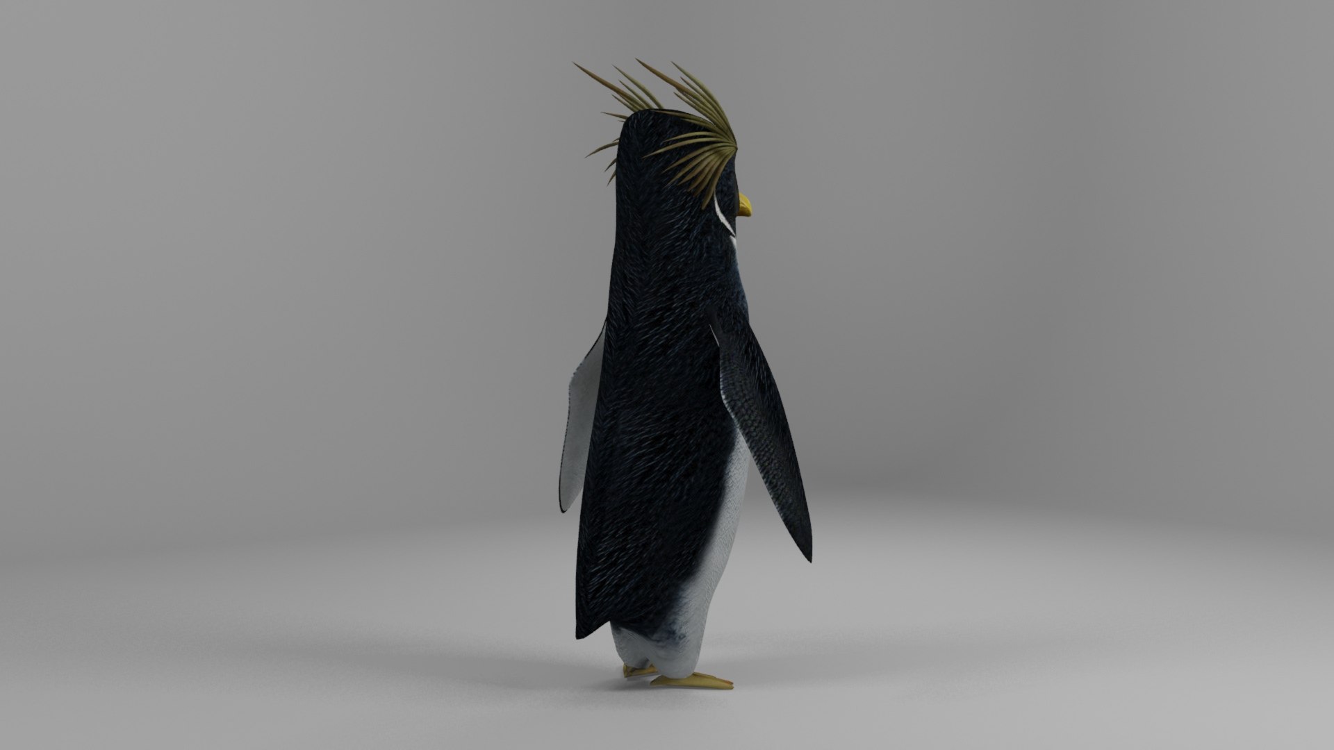cody maverick penguin animation 3D model https://p.turbosquid.com/ts-thumb/VE/0spC13/NF/crestedpenguinrender6/jpg/1617995370/1920x1080/fit_q87/ad2f60a49c60cc5ce4825d9de989fd9dafb148be/crestedpenguinrender6.jpg