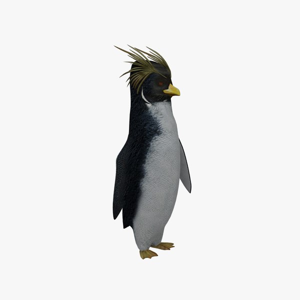 Cody maverick penguin animation 3D model - TurboSquid 1367356