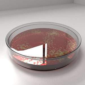 glass petri dish agar 3D