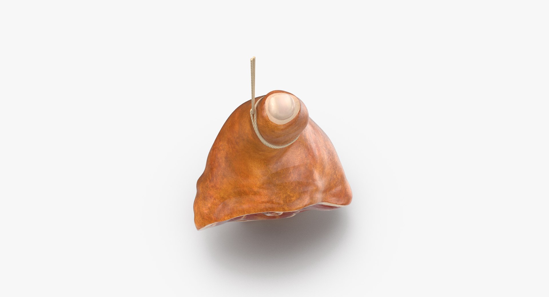 hanging ham 03 max https://p.turbosquid.com/ts-thumb/VE/GrqXmf/cUcmAacl/hanging_hams_03_thumbnail_0007/jpg/1478680556/1920x1080/fit_q87/99cee7582fd4719dd5ce788bb886cb1ac7f20020/hanging_hams_03_thumbnail_0007.jpg