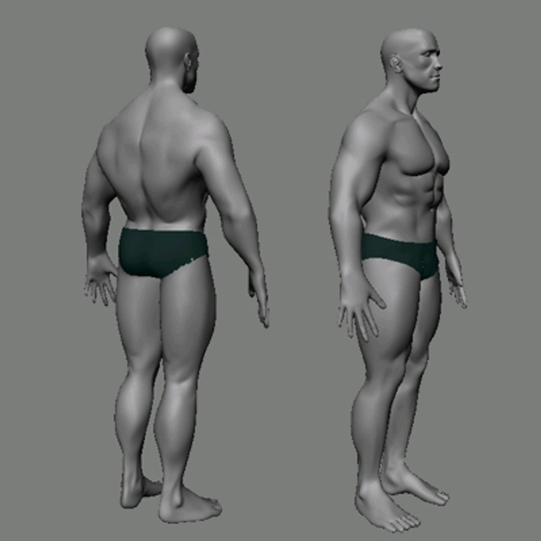 athletic character arnold 3d model https://p.turbosquid.com/ts-thumb/VE/Hy5h8X/2OyT7Flo/arnold_c/jpg/1236119084/1920x1080/fit_q87/44c281476ff5f7342bad218312fef6dd693d6506/arnold_c.jpg