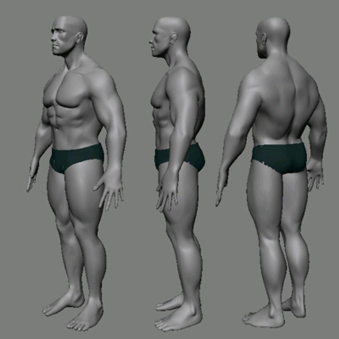 athletic character arnold 3d model https://p.turbosquid.com/ts-thumb/VE/Hy5h8X/lUsTVxGK/arnold_b/jpg/1236119080/1920x1080/fit_q87/664e5182dff24c25040a1f3d72a3f2e44d98359b/arnold_b.jpg