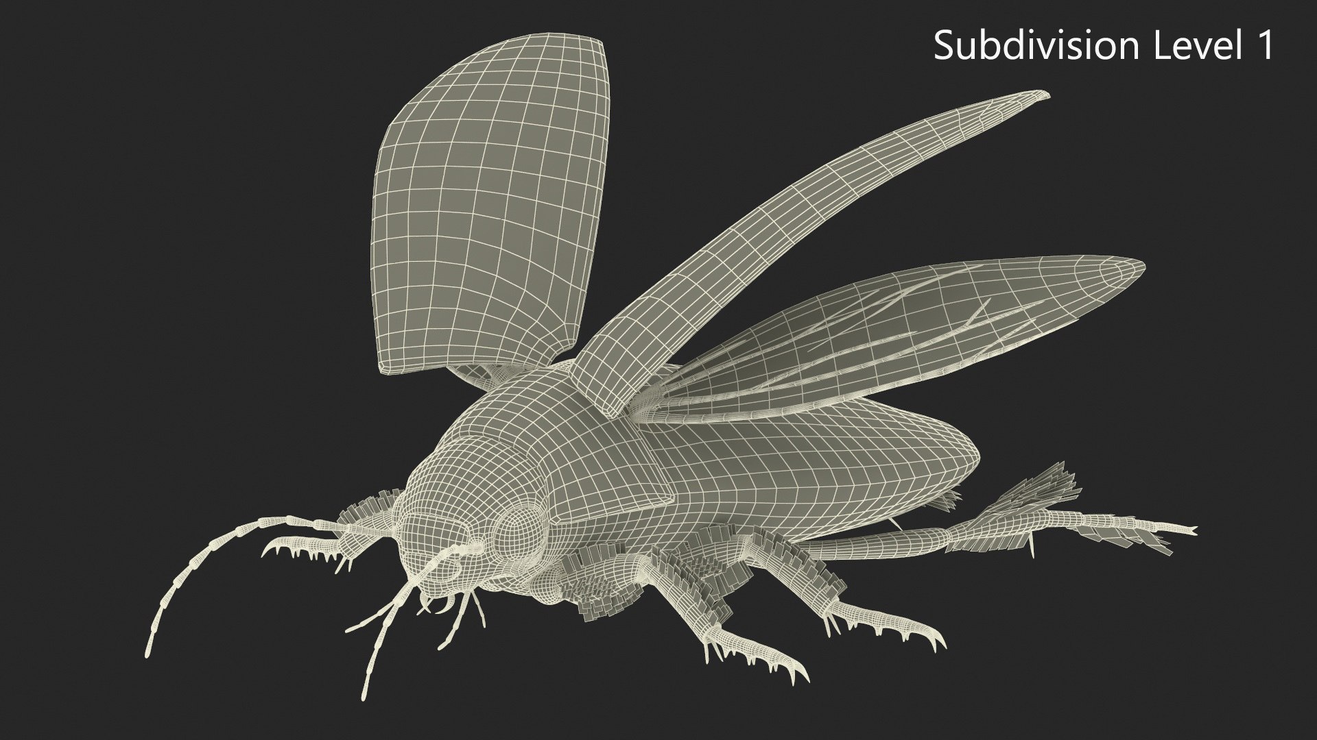 3D Insect Water Beetle Brown Realistic Rigged for Maya https://p.turbosquid.com/ts-thumb/VE/MdrOtB/Si/insect_water_beetle_brown_realistic_rigged_026/jpg/1732864636/1920x1080/fit_q87/16c0db33b87f4818c4d06d3294d2ec37e2c678dd/insect_water_beetle_brown_realistic_rigged_026.jpg