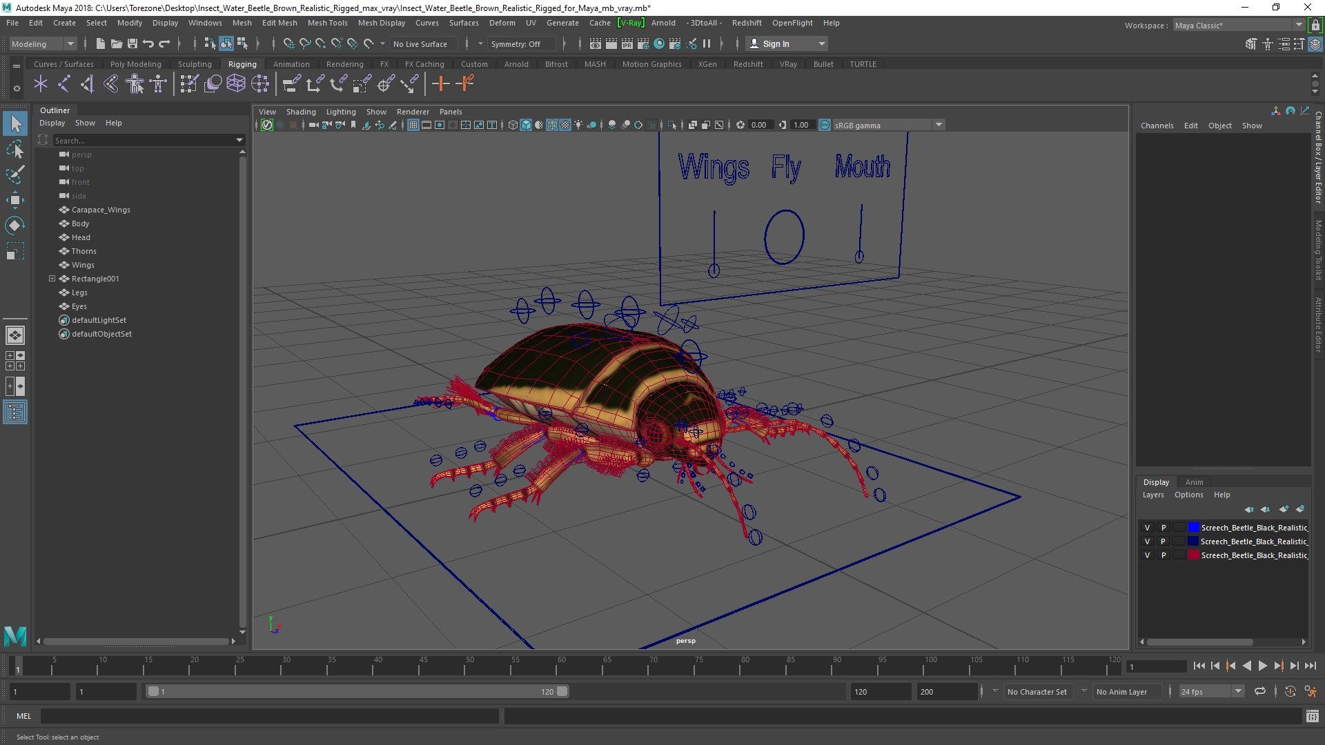 3D Insect Water Beetle Brown Realistic Rigged for Maya https://p.turbosquid.com/ts-thumb/VE/MdrOtB/X9/insect_water_beetle_brown_realistic_rigged_for_maya_005/jpg/1732864716/1920x1080/fit_q87/f26ee6073494d2f96be00381d7bfb956ff8788f4/insect_water_beetle_brown_realistic_rigged_for_maya_005.jpg