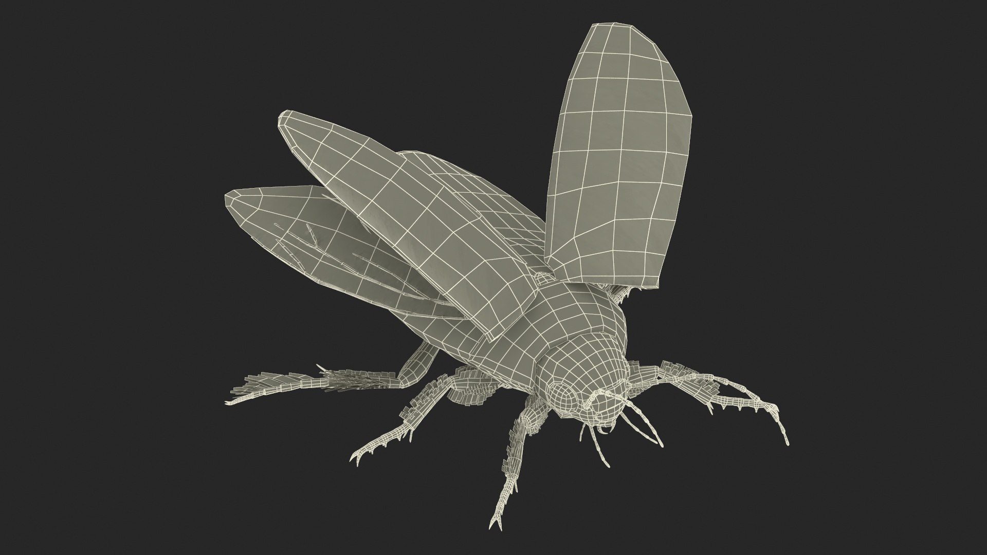 3D Insect Water Beetle Brown Realistic Rigged for Maya https://p.turbosquid.com/ts-thumb/VE/MdrOtB/dF/insect_water_beetle_brown_realistic_rigged_037/jpg/1732864685/1920x1080/fit_q87/5b33747b8cc97e56fa3e08bd1d6626342f6d6d36/insect_water_beetle_brown_realistic_rigged_037.jpg