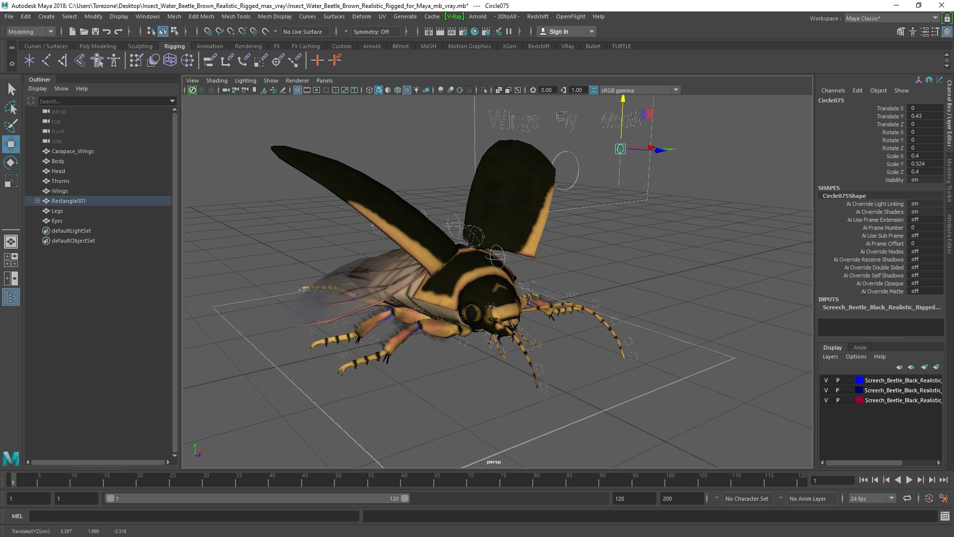 3D Insect Water Beetle Brown Realistic Rigged for Maya https://p.turbosquid.com/ts-thumb/VE/MdrOtB/dQ/insect_water_beetle_brown_realistic_rigged_for_maya_006/jpg/1732864719/1920x1080/fit_q87/607133ceb21cedf3908a6f5c6d2603a5bd04d650/insect_water_beetle_brown_realistic_rigged_for_maya_006.jpg