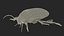Насекомое Водяной Жук Коричневый Реалистичный Снаряженный для Maya