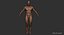 Man Rigged and Animated