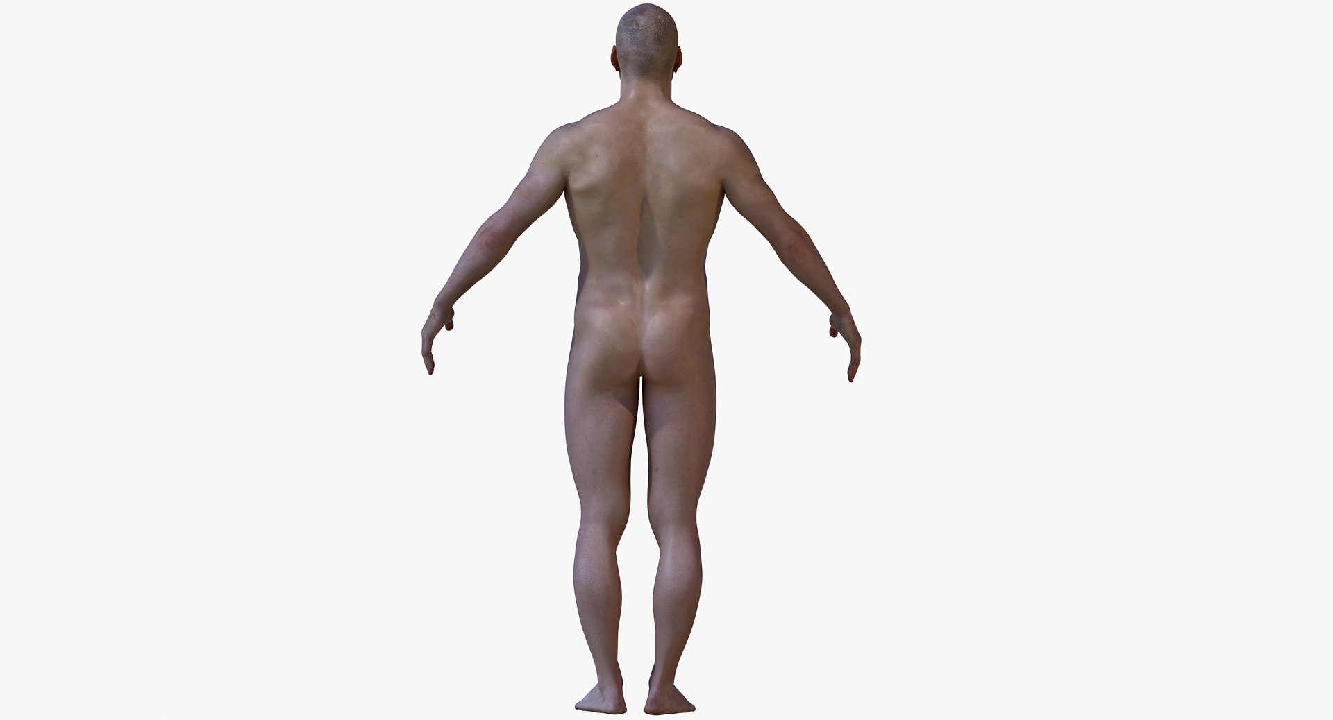 male body rigging 3d max https://p.turbosquid.com/ts-thumb/VE/MyXCRw/80c7odZG/08/jpg/1472486251/1920x1080/fit_q87/53a7383d470881ee581df93389c8f3559c20a42c/08.jpg