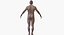 Man Rigged and Animated