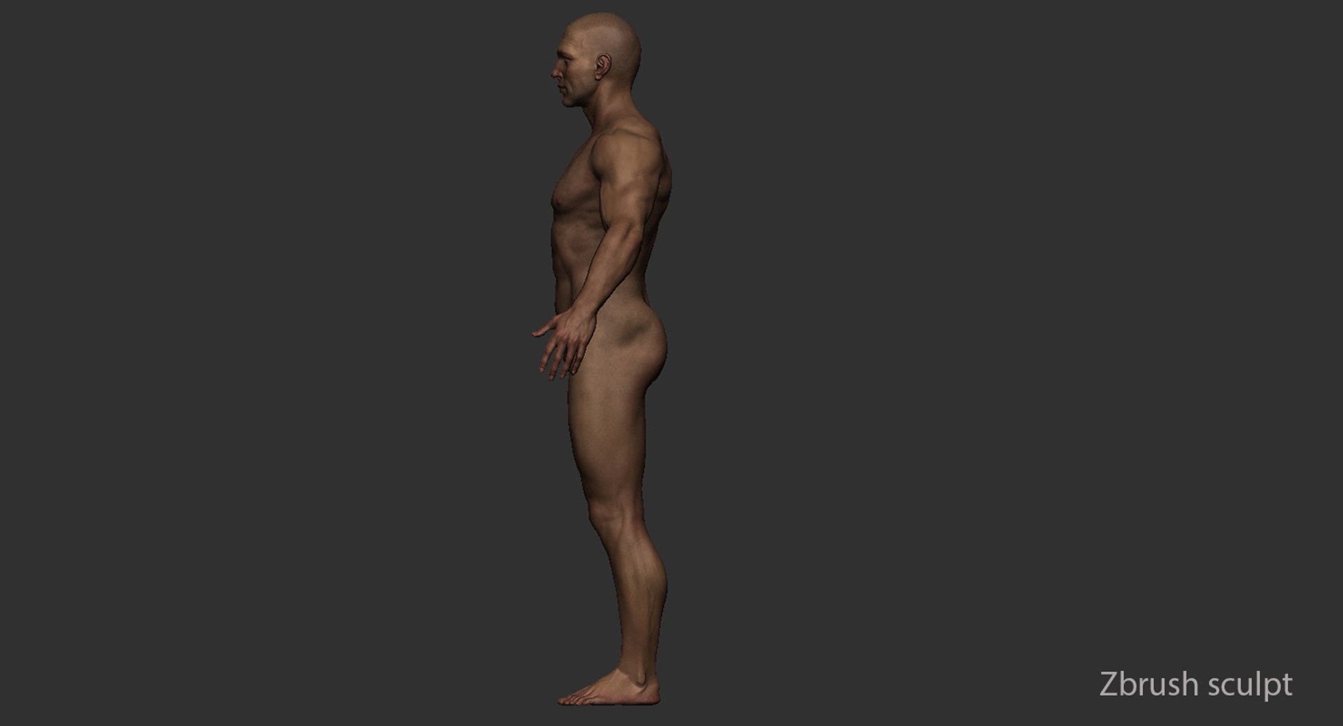 male body rigging 3d max https://p.turbosquid.com/ts-thumb/VE/MyXCRw/JRoCSBQP/24/jpg/1472495319/1920x1080/fit_q87/b9e568d2180a507181bc50f41056c8c522eb2956/24.jpg