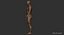 Man Rigged and Animated