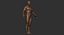 Man Rigged and Animated