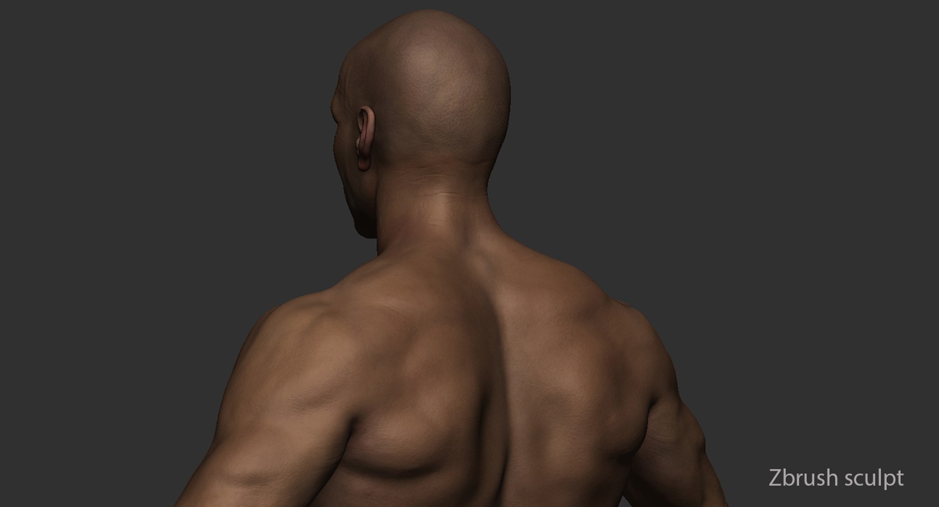 male body rigging 3d max https://p.turbosquid.com/ts-thumb/VE/MyXCRw/gBtt4DUJ/28/jpg/1472495319/1920x1080/fit_q87/5c0f9f6e16574a2b58cbe574e9508ed00ca12078/28.jpg