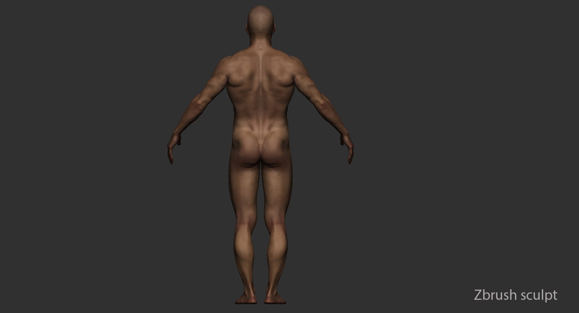 male body rigging 3d max https://p.turbosquid.com/ts-thumb/VE/MyXCRw/xGIW3nSJ/25/jpg/1472495319/1920x1080/fit_q87/886736b77743fa6d4f893af09c31ae869fdb09f1/25.jpg