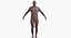 Man Rigged and Animated