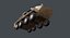 LAV25 Piranha lowpoly