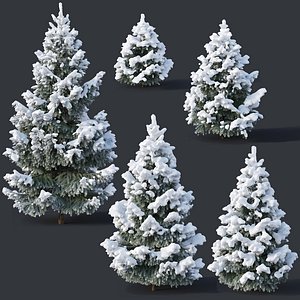 3D fir trees model