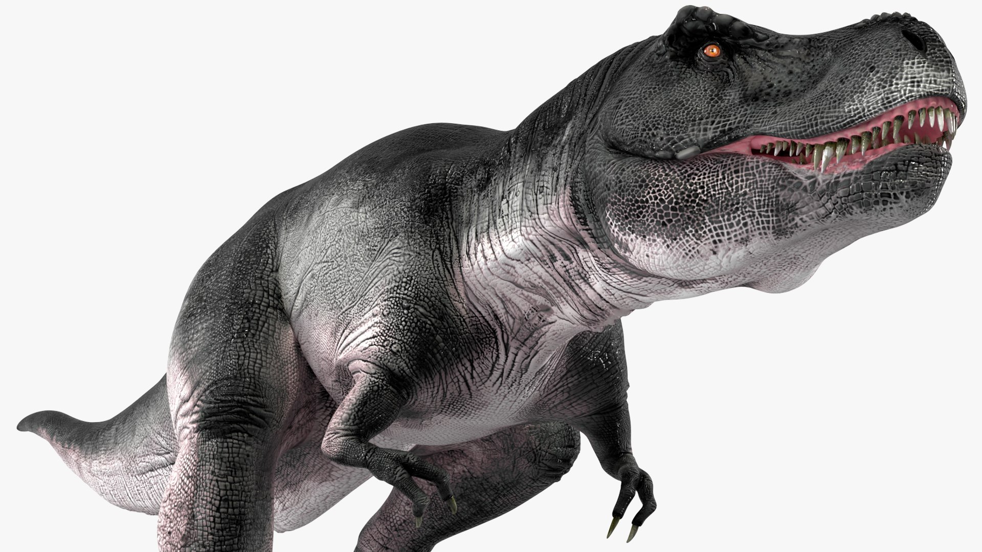 T Rex Walking Animated Rigged for Maya 3D https://p.turbosquid.com/ts-thumb/VE/h7AHFM/9T/trexwalkinganimatedriggedformaya3dmodel019/jpg/1691848950/1920x1080/fit_q87/3f532802a4db5a49b84226d1d7f9720cd47a6c27/trexwalkinganimatedriggedformaya3dmodel019.jpg
