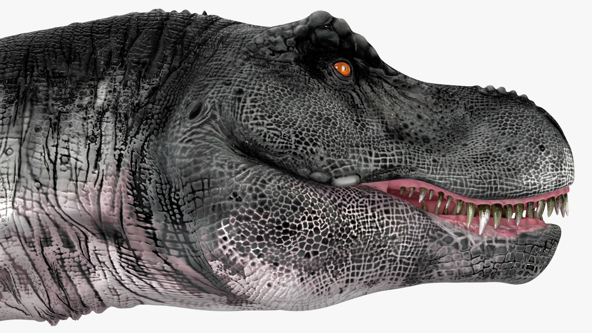 T Rex Walking Animated Rigged for Maya 3D https://p.turbosquid.com/ts-thumb/VE/h7AHFM/DL/trexwalkinganimatedriggedformaya3dmodel024/jpg/1691848970/1920x1080/fit_q87/b859f2827c88d1b68972ac69e381f762d0706ca9/trexwalkinganimatedriggedformaya3dmodel024.jpg