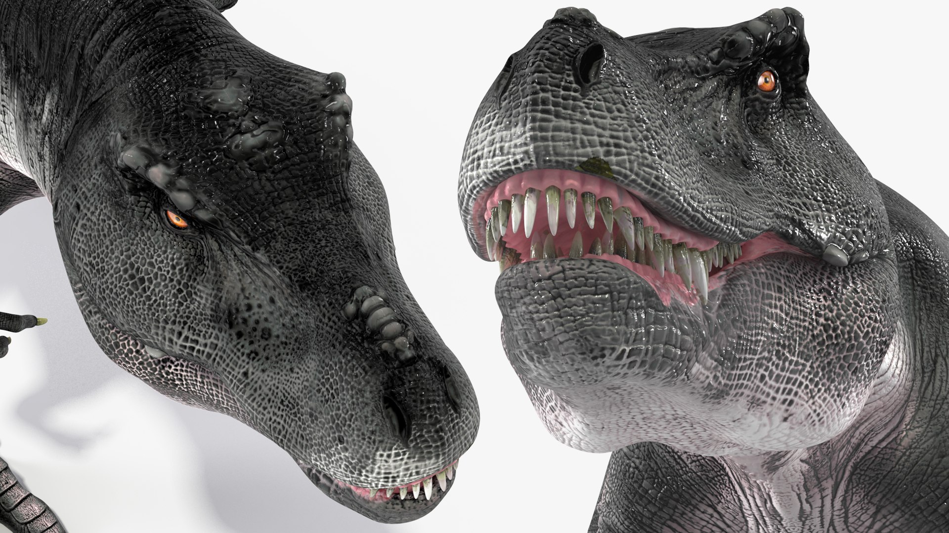 T Rex Walking Animated Rigged for Maya 3D https://p.turbosquid.com/ts-thumb/VE/h7AHFM/MI/trexwalkinganimatedriggedformaya3dmodel026/jpg/1691848977/1920x1080/fit_q87/adce20d1be1ef347751af3d0812e97f82d041e39/trexwalkinganimatedriggedformaya3dmodel026.jpg