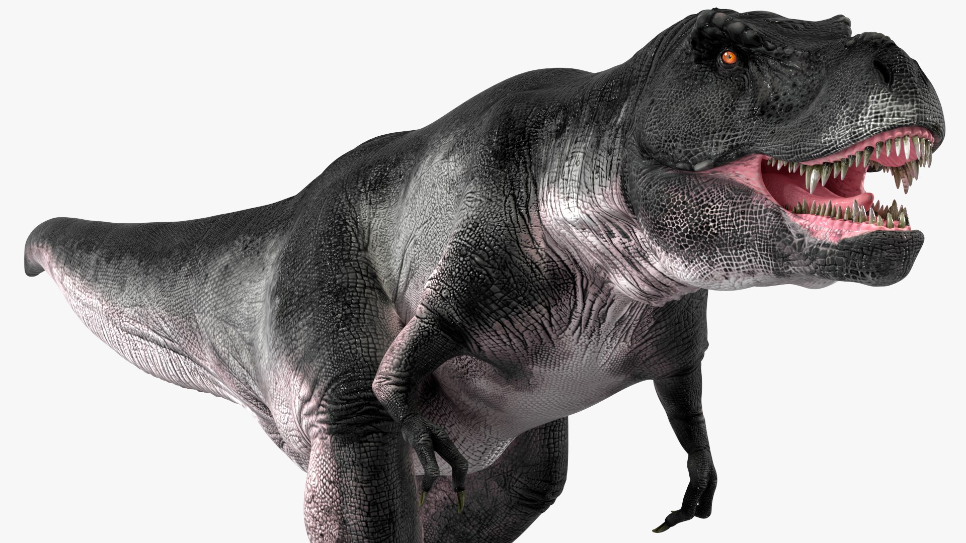 T Rex Walking Animated Rigged for Maya 3D https://p.turbosquid.com/ts-thumb/VE/h7AHFM/Vo/trexwalkinganimatedriggedformaya3dmodel020/jpg/1691848954/1920x1080/fit_q87/f8ff1c860ca7f8643c7a22fef33393a17273cf3e/trexwalkinganimatedriggedformaya3dmodel020.jpg